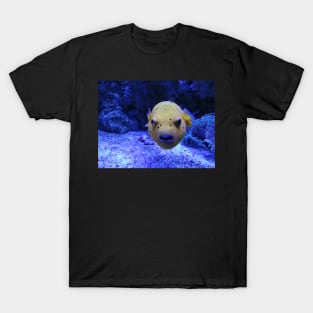 Angry puffer fish T-Shirt